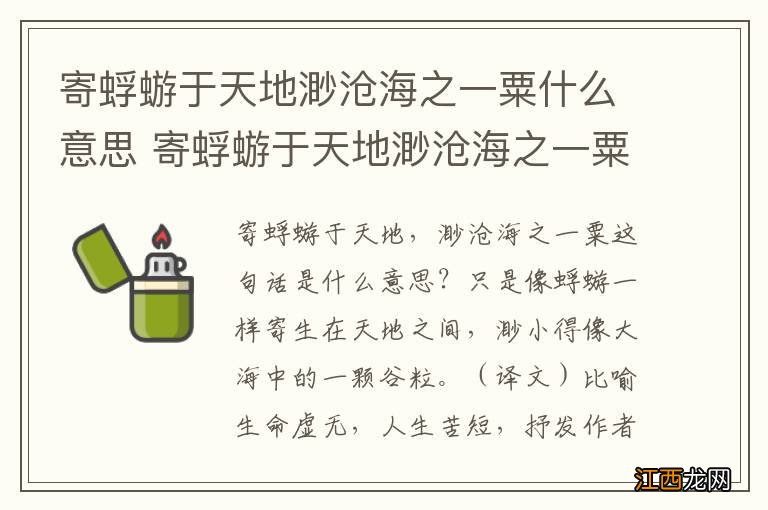 寄蜉蝣于天地渺沧海之一粟什么意思 寄蜉蝣于天地渺沧海之一粟什么意思拼音