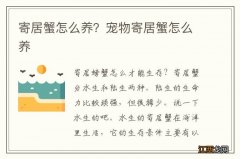 寄居蟹怎么养？宠物寄居蟹怎么养