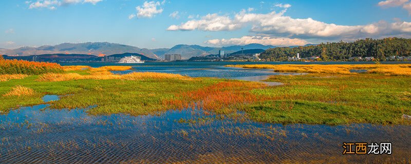 水草种子正确种植方法视频 水草种子正确种植方法