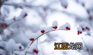 什么节气最冷，什么节气最冷冬天会冷