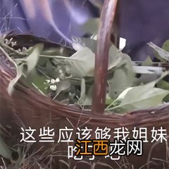 王宝钏挖野菜梗是哪一集 王宝钏挖野菜是第几集出现的