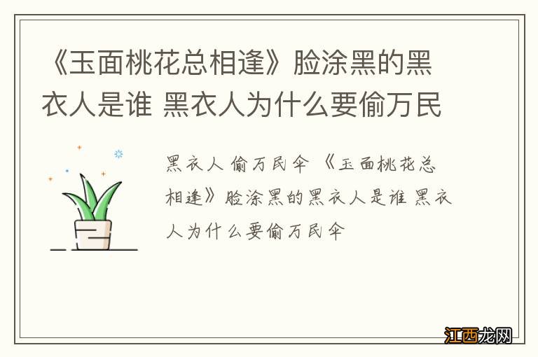 《玉面桃花总相逢》脸涂黑的黑衣人是谁 黑衣人为什么要偷万民伞