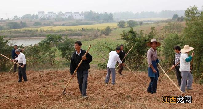 专家鼓励农民县城买房开车种田，农民反问钱谁出