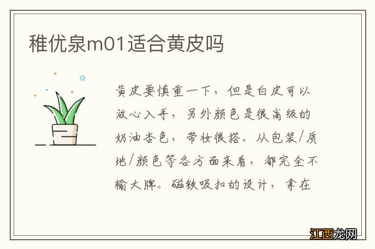稚优泉m01适合黄皮吗