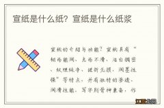 宣纸是什么纸？宣纸是什么纸浆