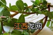 脖子酸痛怎么缓解