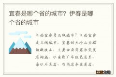 宜春是哪个省的城市？伊春是哪个省的城市