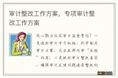 审计整改工作方案，专项审计整改工作方案