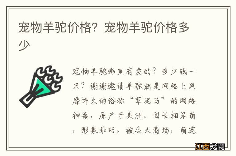 宠物羊驼价格？宠物羊驼价格多少