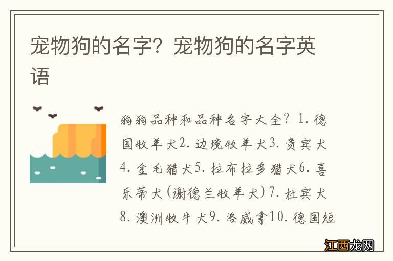 宠物狗的名字？宠物狗的名字英语