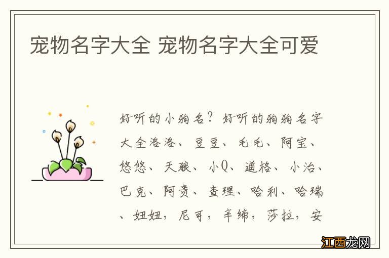 宠物名字大全 宠物名字大全可爱