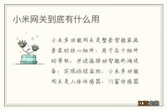 小米网关到底有什么用