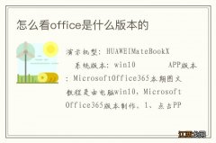 怎么看office是什么版本的