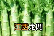 夏季儿童游泳注意事项