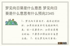 梦见向日葵是什么意思 梦见向日葵是什么意思有什么预兆2345