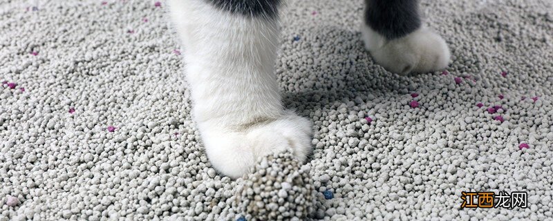 猫砂可以种花吗 膨润土 猫砂可以种花吗