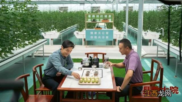 《县委大院》大结局了!1人意难平,2人升职,2人被查,小林结婚