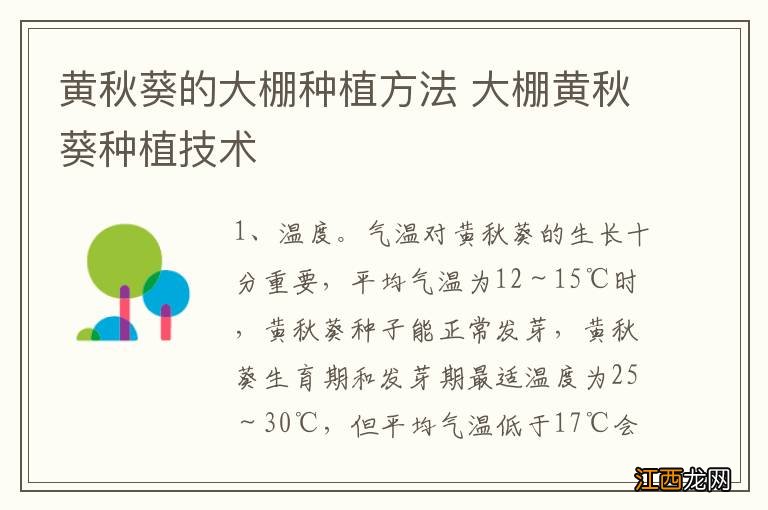 黄秋葵的大棚种植方法 大棚黄秋葵种植技术