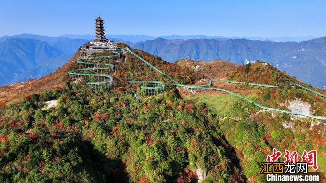 四川巴山大峡谷彩林迎来最佳观赏期