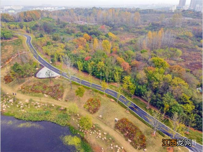 河南信阳：羊山森林植物园秋意浓