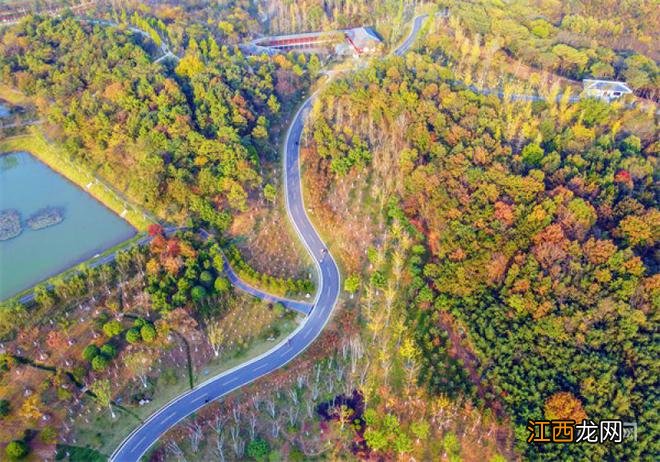 河南信阳：羊山森林植物园秋意浓