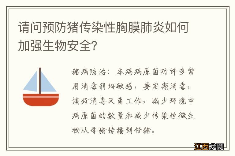 请问预防猪传染性胸膜肺炎如何加强生物安全？