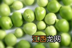 醋泡黄豆有哪些作用？醋泡黄豆的功效有哪些？