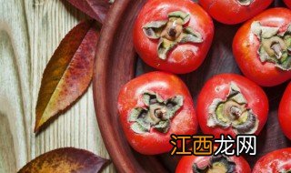 柿子树冬天可以栽吗 柿子树冬天种植可以吗