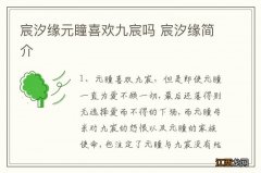 宸汐缘元瞳喜欢九宸吗 宸汐缘简介