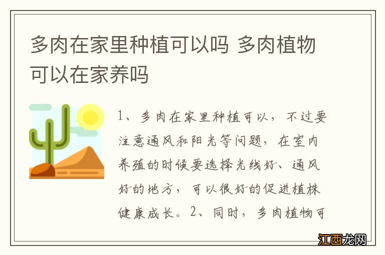 多肉在家里种植可以吗 多肉植物可以在家养吗