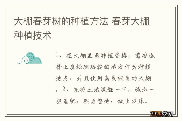 大棚春芽树的种植方法 春芽大棚种植技术