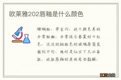 欧莱雅202唇釉是什么颜色