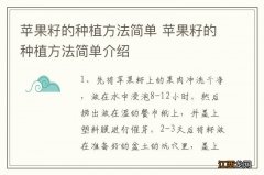 苹果籽的种植方法简单 苹果籽的种植方法简单介绍