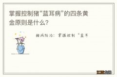 掌握控制猪“蓝耳病”的四条黄金原则是什么？