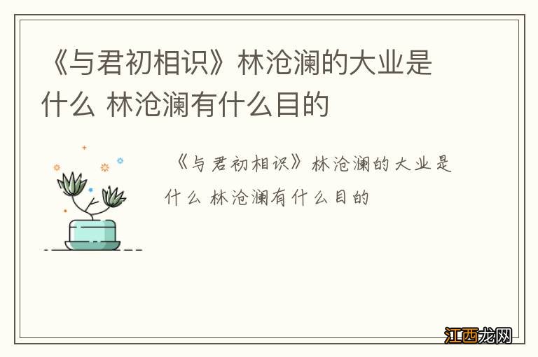 《与君初相识》林沧澜的大业是什么 林沧澜有什么目的