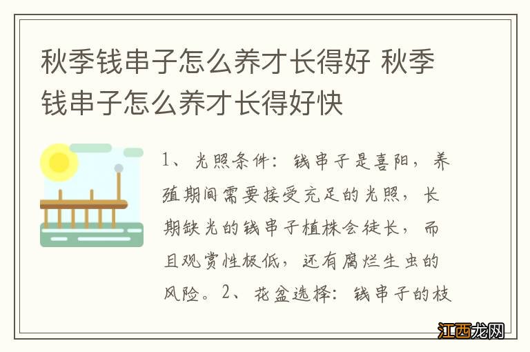 秋季钱串子怎么养才长得好 秋季钱串子怎么养才长得好快