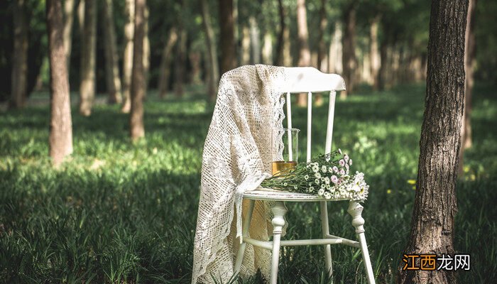 小雏菊的寓意和花语 小雏菊的寓意