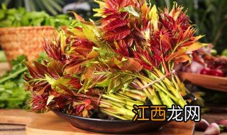 大棚栽香椿 冬天的大棚种植香椿可以吗