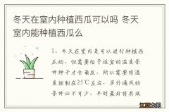 冬天在室内种植西瓜可以吗 冬天室内能种植西瓜么