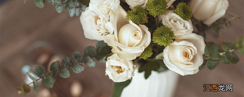 鲜花醒花不要超过多少时间