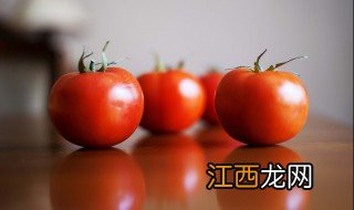 冬天可以种西红柿吗? 冬天种植西红柿可以吗