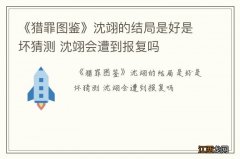 《猎罪图鉴》沈翊的结局是好是坏猜测 沈翊会遭到报复吗