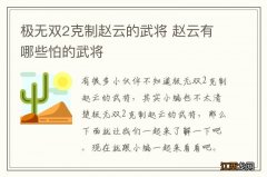 极无双2克制赵云的武将 赵云有哪些怕的武将