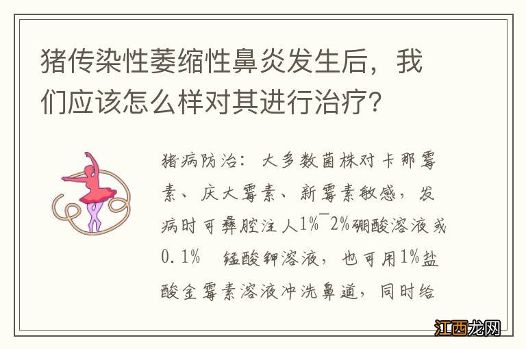 猪传染性萎缩性鼻炎发生后，我们应该怎么样对其进行治疗？