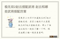 极无双2赵云搭配武将 赵云和哪些武将搭配厉害