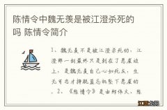 陈情令中魏无羡是被江澄杀死的吗 陈情令简介