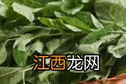 宝宝头发黄是什么原因