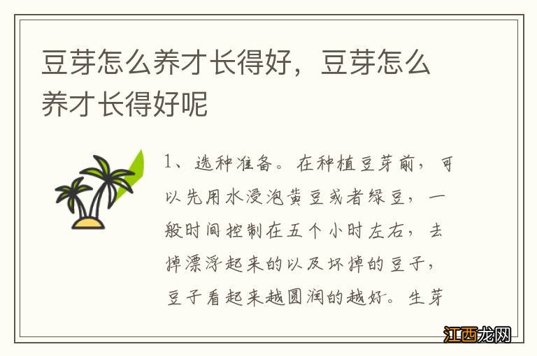 豆芽怎么养才长得好,豆芽怎么养才长得好呢