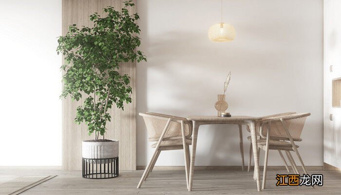 幸福树三种人不能养 幸福树买一个还是一对