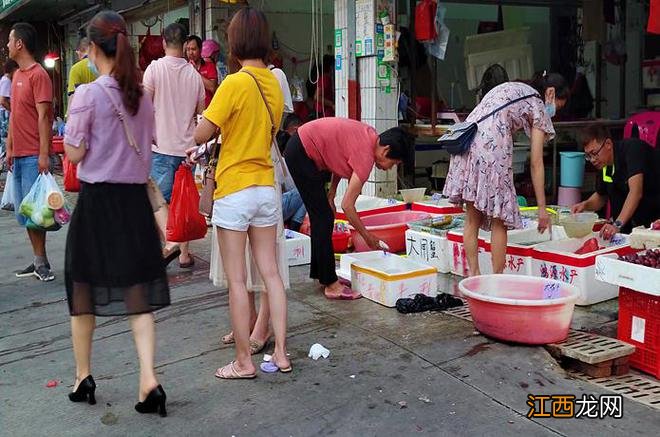 广东一个让人无限向往的城市，风景宜人，充满活力